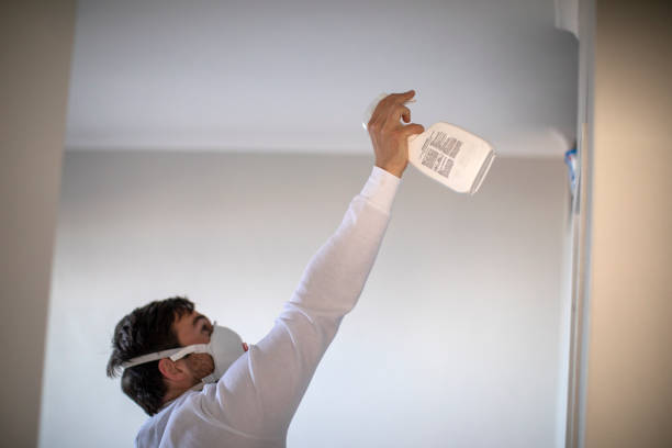 Attic Mold Removal in Redland, TX